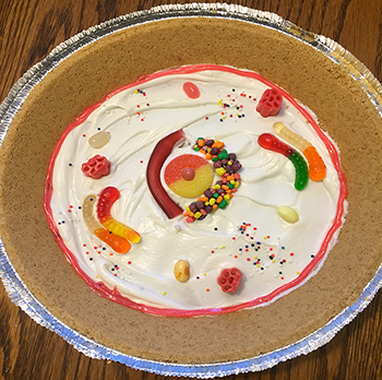 Edible Animal Cell Lab Project